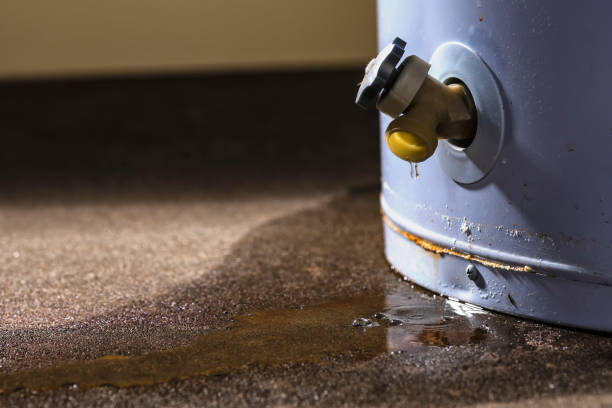 Best Water damage restoration specialists  in Ashville, OH