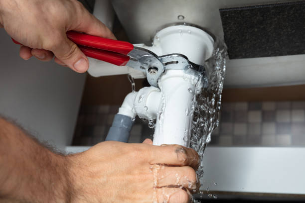 Best Mold removal after water damage  in Ashville, OH