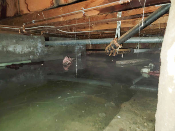 Best Flooded house restoration  in Ashville, OH
