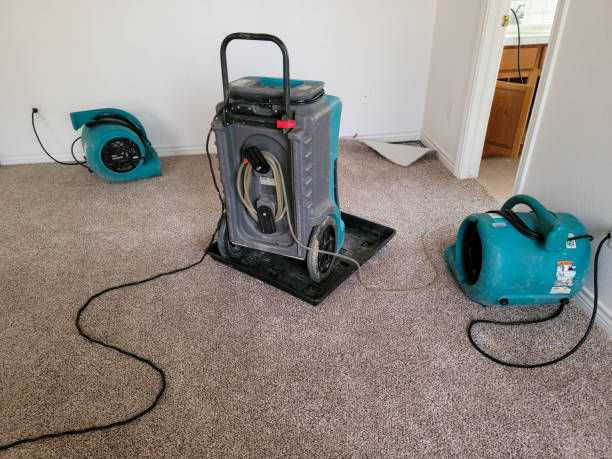Best Residential water damage restoration  in Ashville, OH