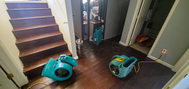 Best Flooded house restoration  in Ashville, OH