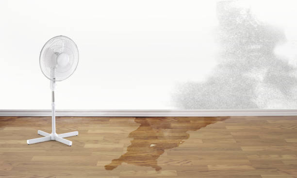 Best Water damage restoration near me  in Ashville, OH