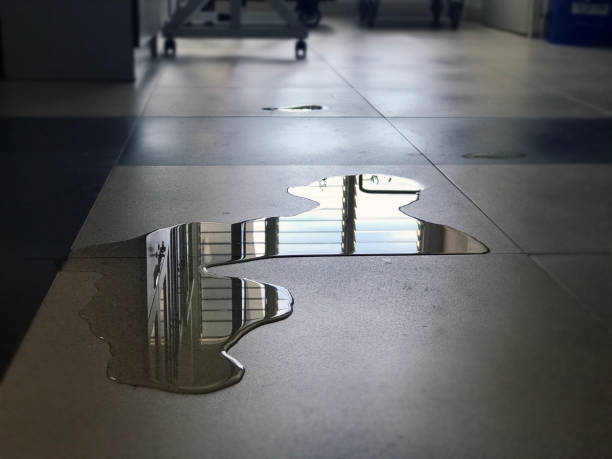 Best Professional water damage repair  in Ashville, OH