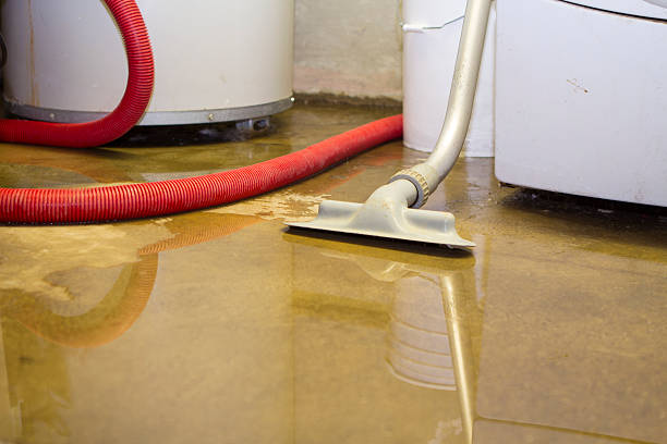 Best Commercial water damage restoration  in Ashville, OH