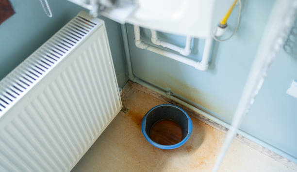 Best Local water damage restoration  in Ashville, OH