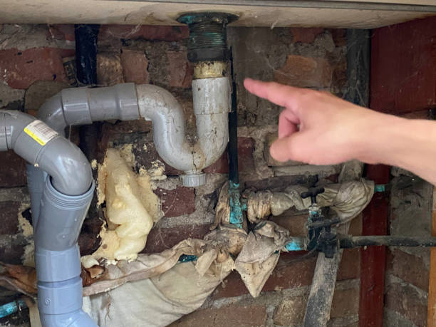 Best Professional water damage repair  in Ashville, OH