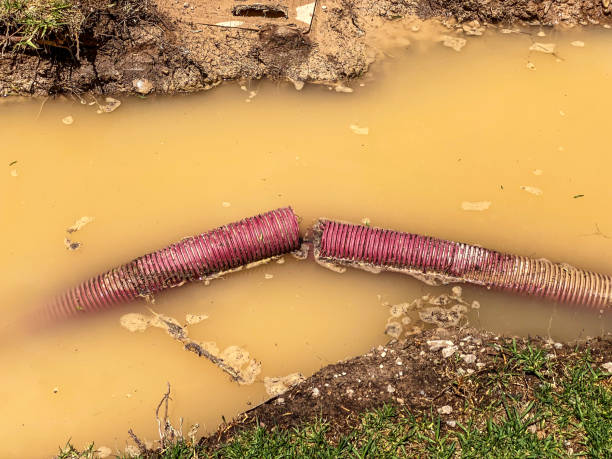Best Water damage restoration insurance claims  in Ashville, OH