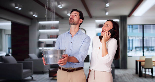 Best Mold removal after water damage  in Ashville, OH