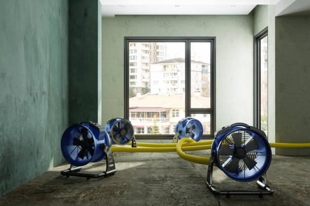 Best Flood restoration services  in Ashville, OH